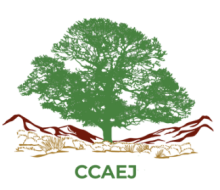 IC4IJ Partner Logo