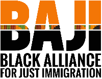 IC4IJ Partner Logo