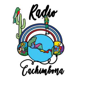 IC4IJ Partner Logo